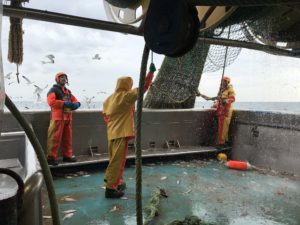 Uitputting Nederlandse Noordzee quota 19 april 2018