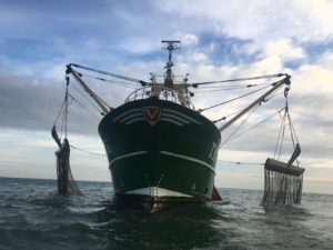 Uitputting NL Noordzee quota 30 november 2017