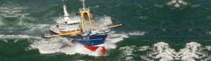 Nederlandse Vissersbond reageert op kritiek pulsvisserij van NOS
