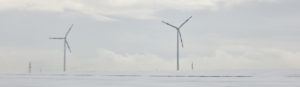 Sessie windparken: visserij verliest zuidelijke Noordzee