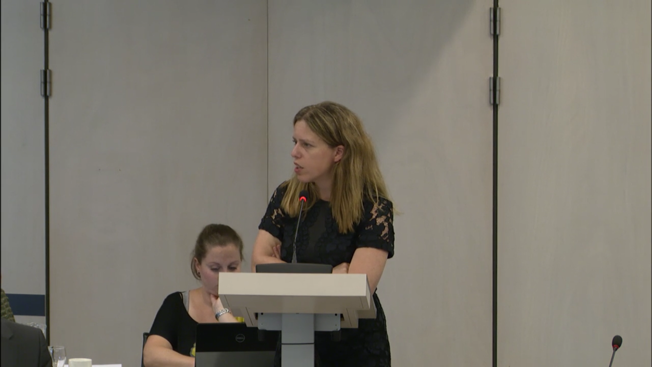 Algemeen Overleg Tweede Kamer