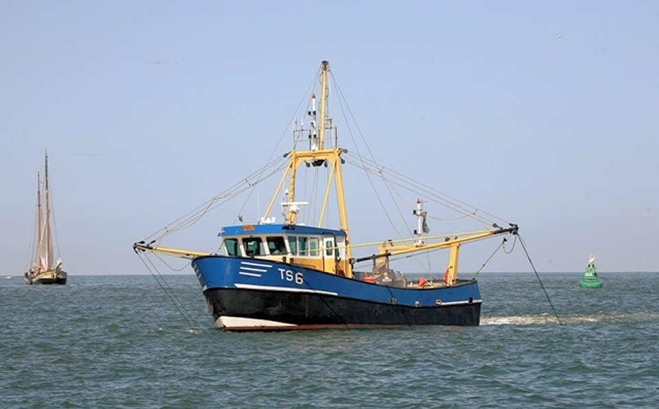 TS6 visserij